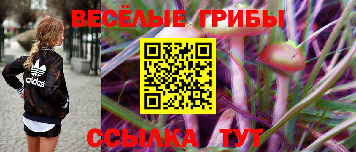 Псилоцибиновые грибы Psilocybine cubensis Орск